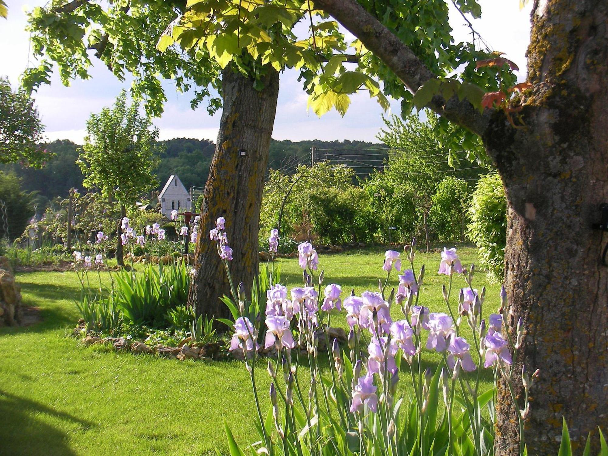 Chambres D'Hotes La Vallee Des Vignes Monthou-sur-Cher Exteriör bild