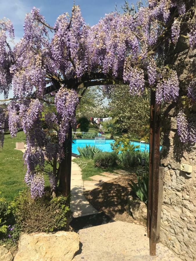 Chambres D'Hotes La Vallee Des Vignes Monthou-sur-Cher Exteriör bild